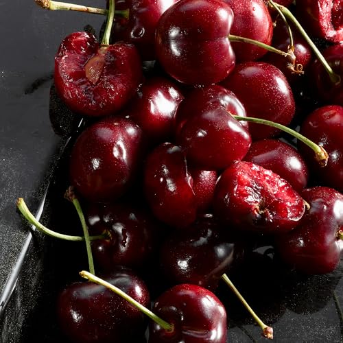 Dolce&Gabbana Q